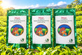 Maya Of Australia® Organic Darjeeling Green Tea Loose Leaf